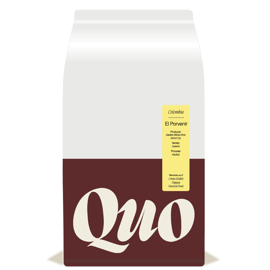 Finca el Porvenir – Caturra