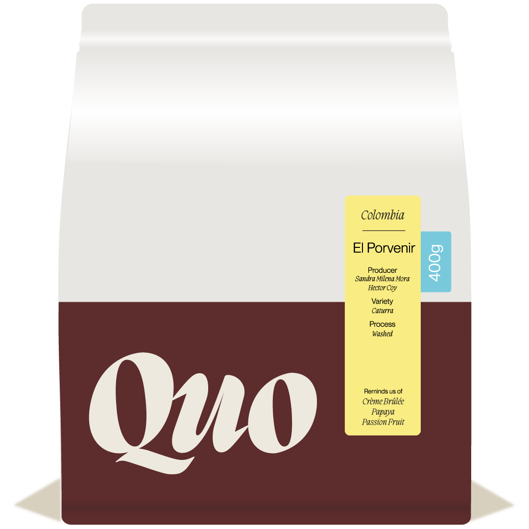 Finca el Porvenir – Caturra